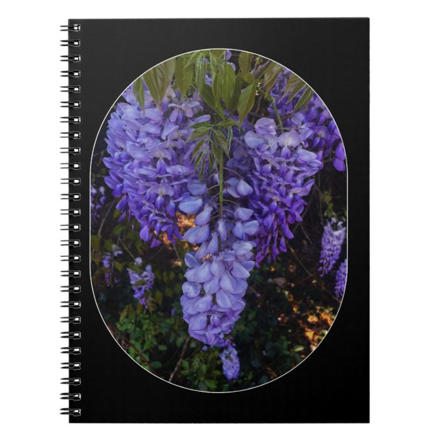Caderno Espiral um toque lindo da natureza  (Frente)