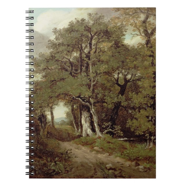 Caderno Espiral Um trajeto arborizado (Frente)