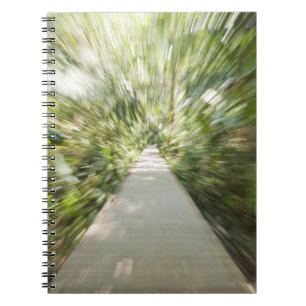 Caderno Espiral Um trajeto de madeira através da floresta húmida