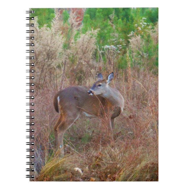 Caderno Espiral Um veado na grama alta (Frente)