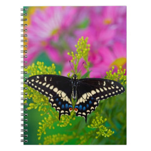 Caderno Espiral Uma Borboleta Rabo de Andorinha Pousando