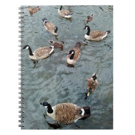 Caderno Espiral Uma coleção de aves