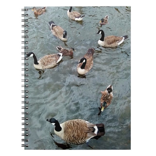 Caderno Espiral Uma coleção de aves (Frente)