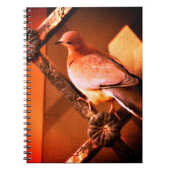 Caderno Espiral Uma Dove Adorável (Frente)