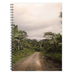 Caderno Espiral Uma estrada remota da selva