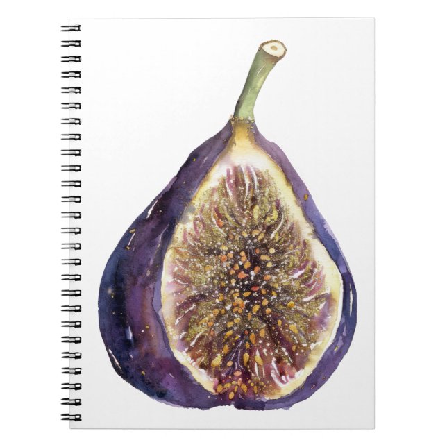 Caderno Espiral Uma Pintura de Figo (Frente)