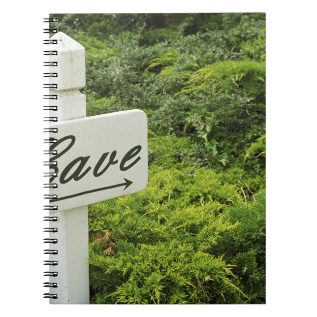 Caderno Espiral Uma placa apontando para a adega (Cave) (Frente)