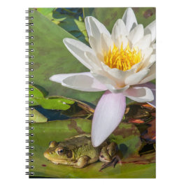 Caderno Espiral Uma rã sob uma flor de nenúfar