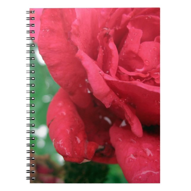 Caderno Espiral Uma Rosa vermelha (Frente)