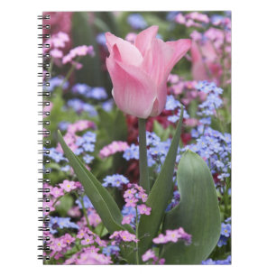 Caderno Espiral Uma tulipa no Luxembourg Gardens, Paris, França