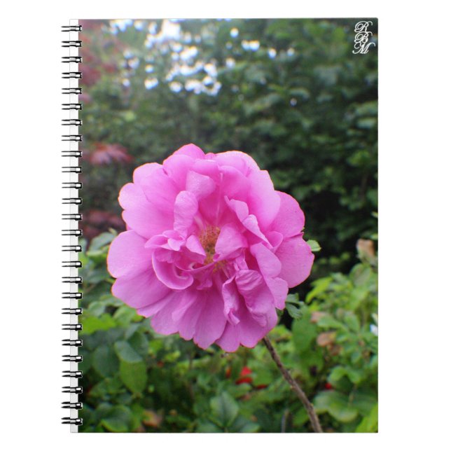 Caderno Espiral Uma Única Flor Rosa (Frente)