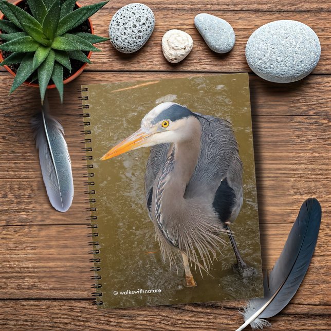 Caderno Espiral Uma Visão Superior de um Herão Azul (Top-Down View of a Great Blue Heron Journal Cover Photo)