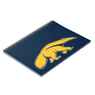 Caderno Espiral Universidade da Califórnia, Irvine Anteater