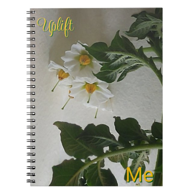 Caderno Espiral Uplift Me (Frente)