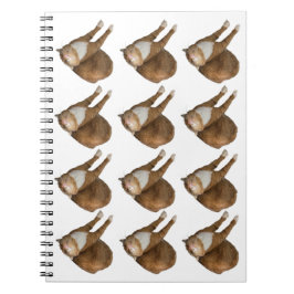 Caderno Espiral Upside-Down Sunshine Cat