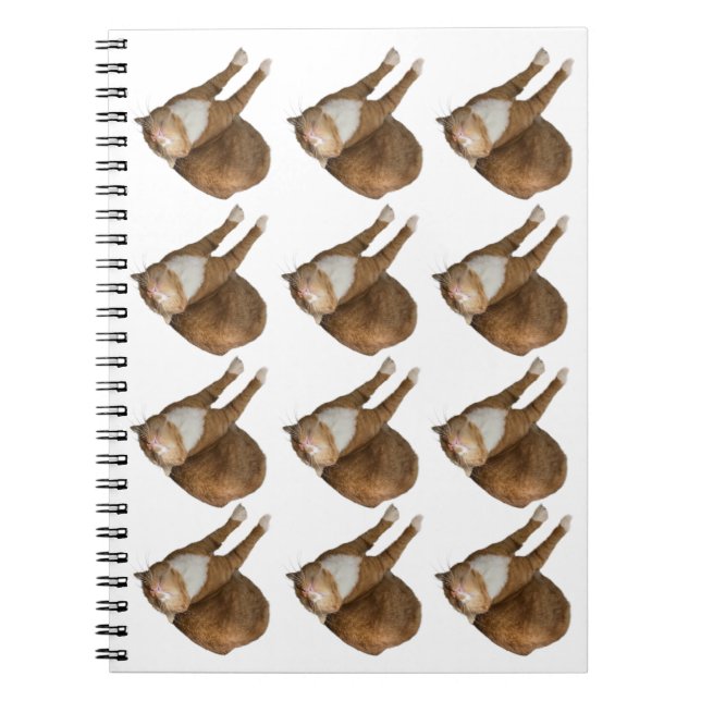 Caderno Espiral Upside-Down Sunshine Cat (Frente)