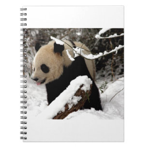 Caderno Espiral Urso de panda