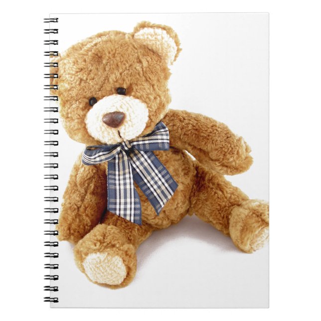 Caderno Espiral Urso de Teddy (Frente)
