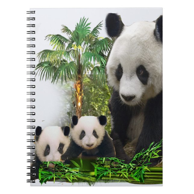 Caderno Espiral Urso e filhotes (Frente)
