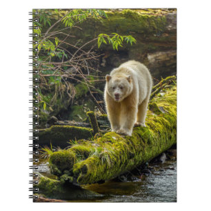 Caderno Espiral Urso Espírito Branco Colúmbia Britânica, Canadá