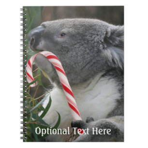 Caderno Espiral Urso Koala, na Austrália, no Natal