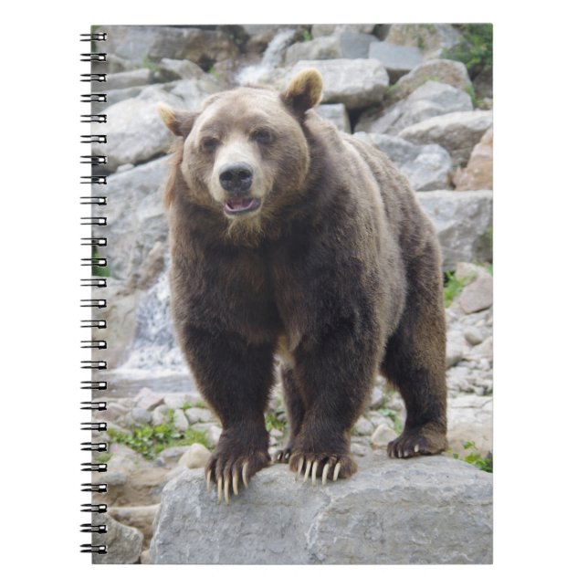 Caderno Espiral Urso Kodiak (Frente)