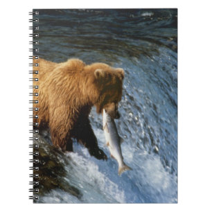 Caderno Espiral Urso Marrom do Alasca captando salmão em Brooks