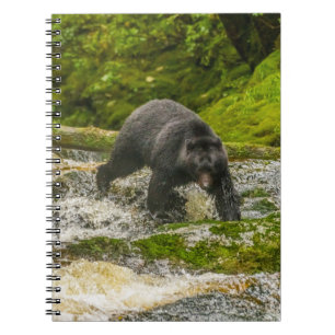 Caderno Espiral Urso Negro Pescando Qua Creek Colúmbia Britânica