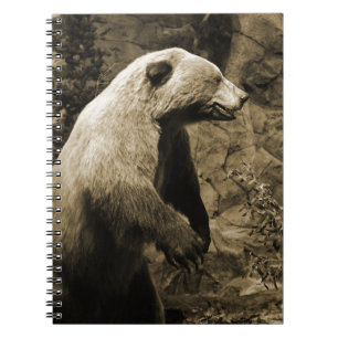 Caderno Espiral Urso orgulhoso
