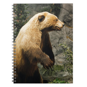 Caderno Espiral Urso orgulhoso