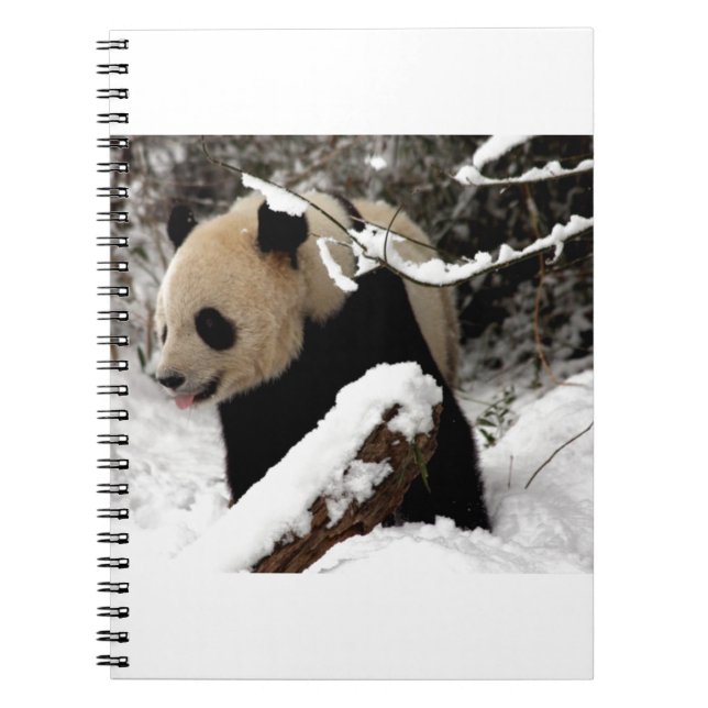 Caderno Espiral Urso Panda (Frente)