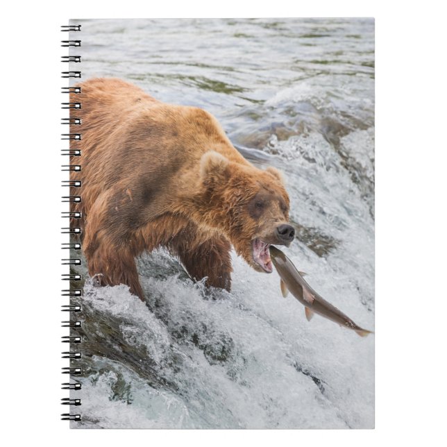 Caderno Espiral Urso Pardo Pega Salmão Vermelho (Frente)