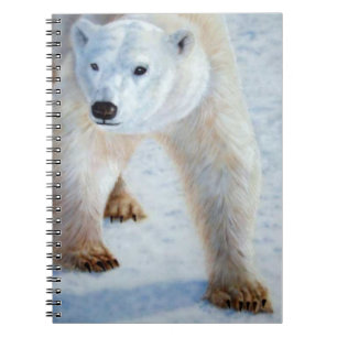 Caderno Espiral Urso Polar