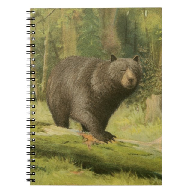 Caderno Espiral Urso Preto a Passar num Tronco de Árvore (Frente)