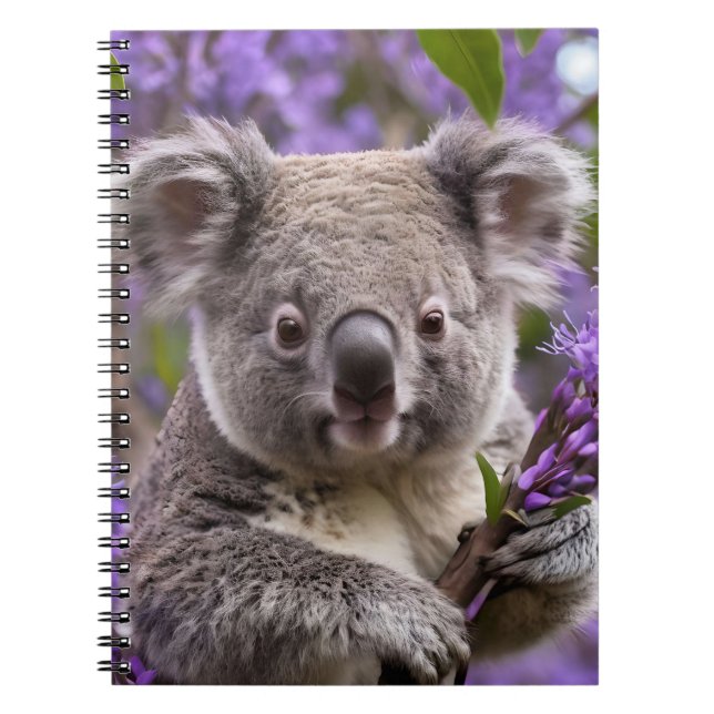 Caderno Espiral Urso Purple Jacaranda Koala (Frente)