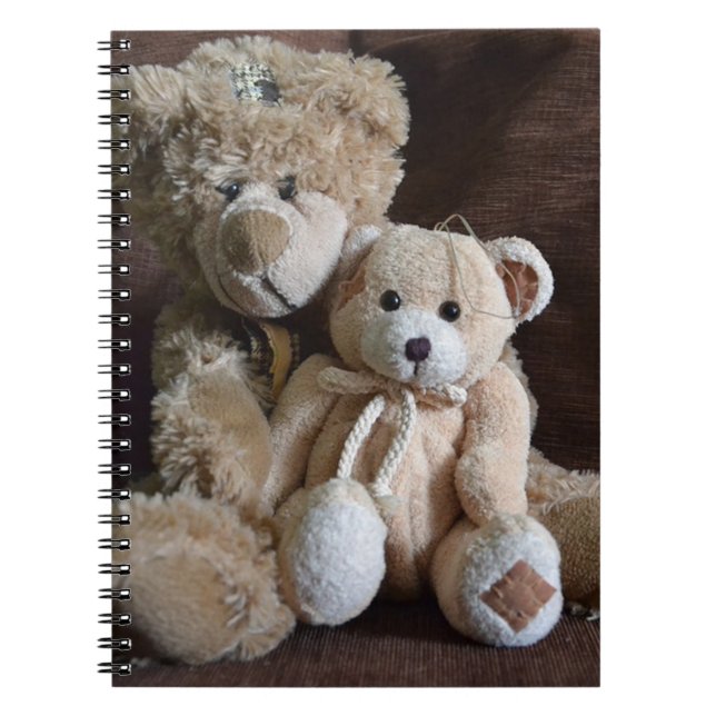 Caderno Espiral Ursos de Teddy Bonitos (Frente)