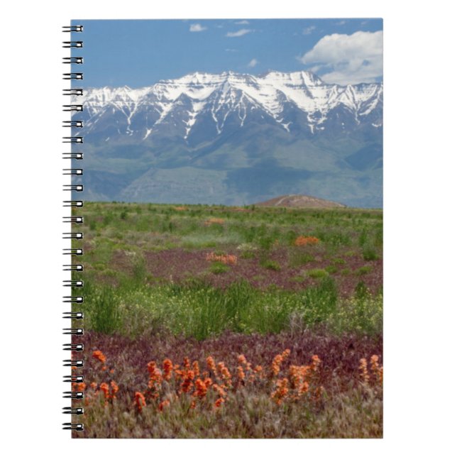 Caderno Espiral Utah, EUA. Monte Timpanogos se Eleva Acima (Frente)
