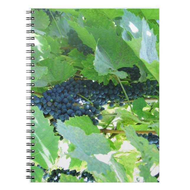 Caderno Espiral Uvas (Frente)