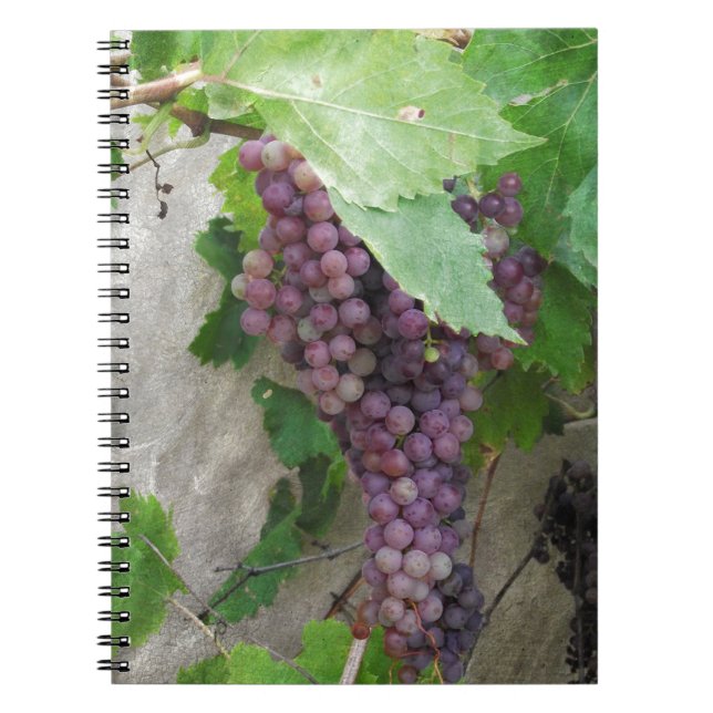 Caderno Espiral Uvas Roxas na Vinha (Frente)