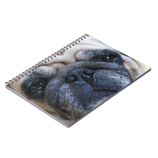 Caderno Espiral Vá Bem Em Breve, Cachorro Doente (Left Side)