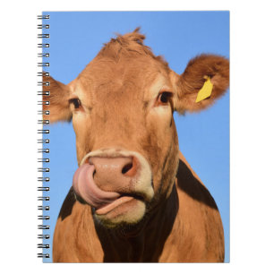 Caderno Espiral Vaca do jérsei que lambe seu nariz
