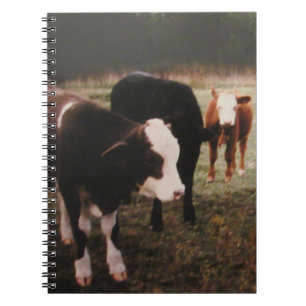 Caderno Espiral Vacas de Creme Castanho