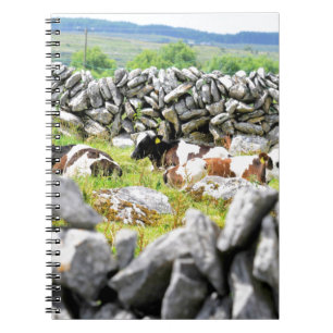 Caderno Espiral Vacas Mugindo