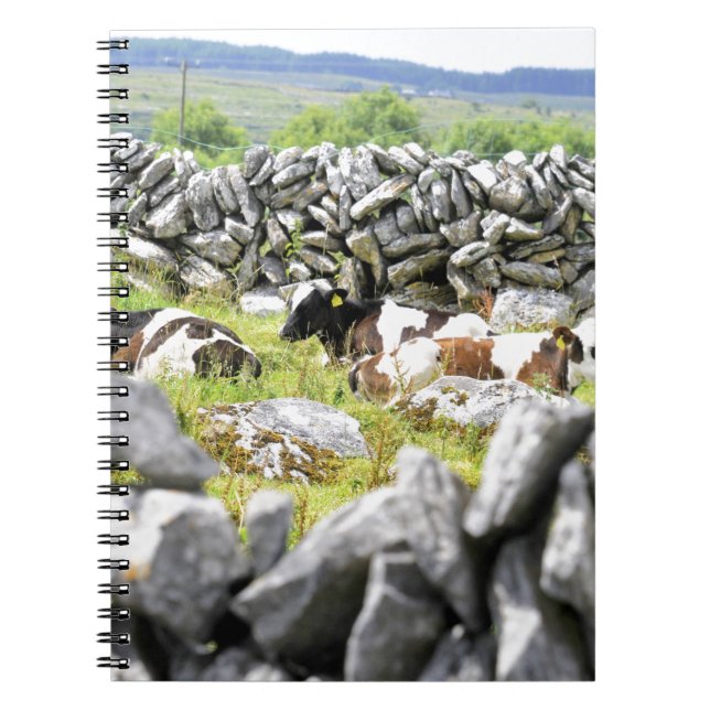 Caderno Espiral Vacas Mugindo (Frente)