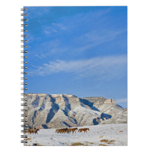 Caderno Espiral Vaqueiros com Rebanho de Cavalos