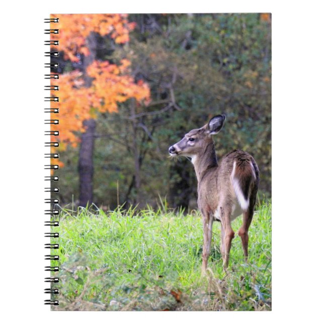 Caderno Espiral Veado Branco Próximo (Frente)