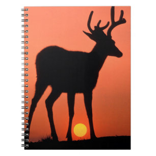 Caderno Espiral Veado-de-cauda-preta ou Veado-galheiro Parque Na