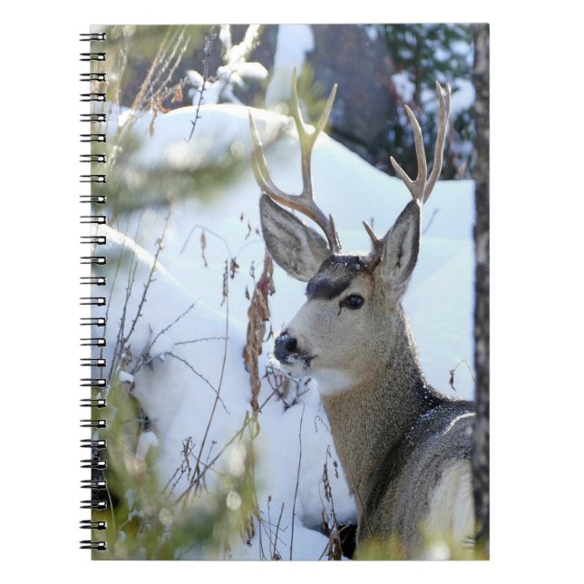 Caderno Espiral Veado Na Neve (Frente)