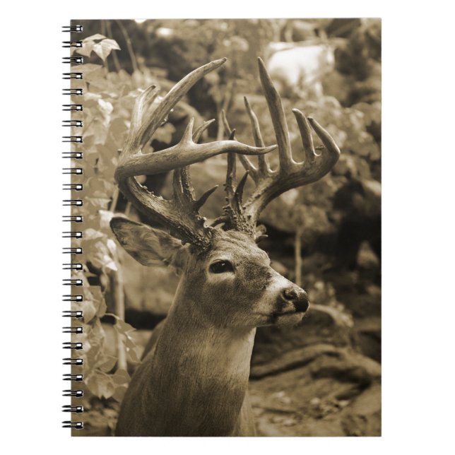 Caderno Espiral Veado Troféu (Frente)