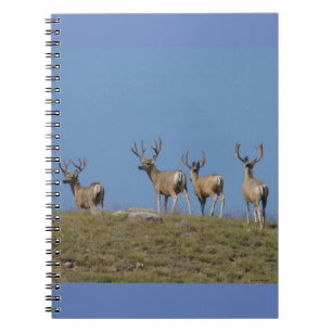 Caderno Espiral Veados-machos D9 em Veludo Silhuetados